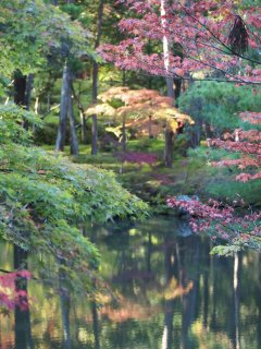 西芳寺42