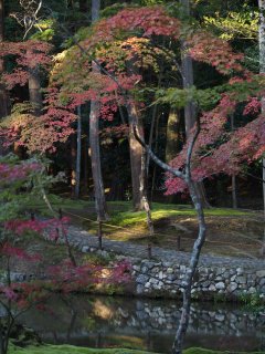 西芳寺46