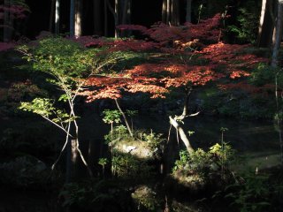 西芳寺48