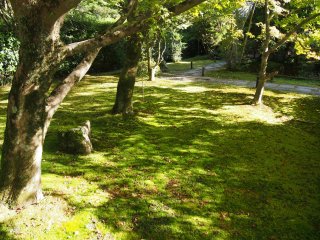 西芳寺6