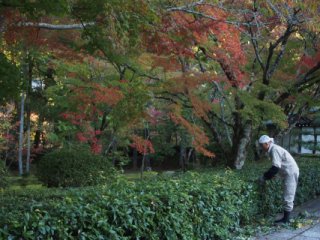 西芳寺57