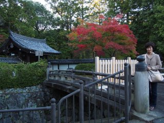 西芳寺59