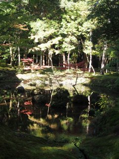 西芳寺8