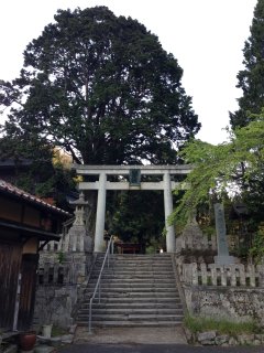 会社からの島根出張1