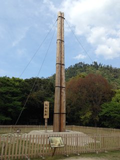 突然の島根帰郷7