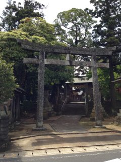 突然の島根帰郷16