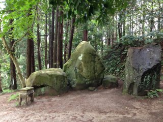 突然の島根帰郷21