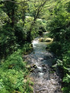 島根出張55