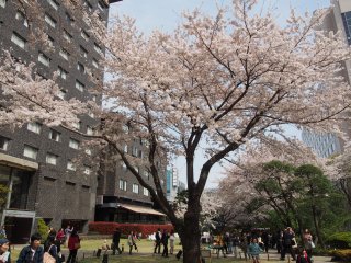 高輪プリンス日本庭園2