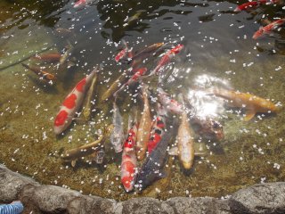 高輪プリンス日本庭園3