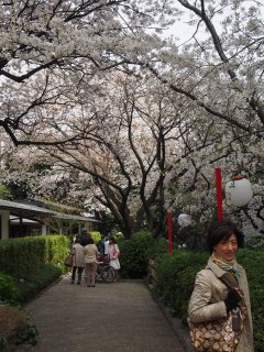 高輪プリンス日本庭園4