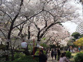 高輪プリンス日本庭園5