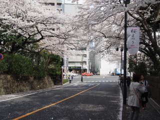 高輪プリンス日本庭園6