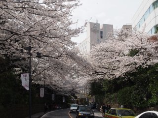 高輪プリンス日本庭園7