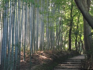 地蔵院3