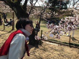 2015姫路公園5