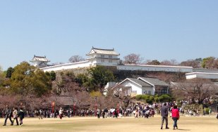 2015姫路公園1