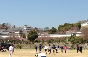 2015姫路公園2