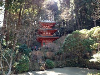 浄瑠璃寺3