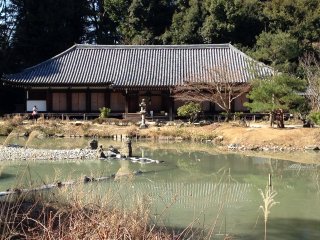 浄瑠璃寺1