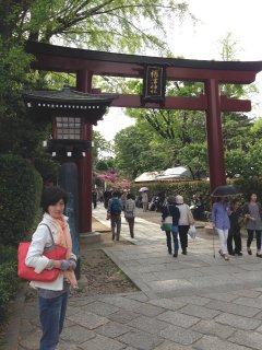 2015根津神社1