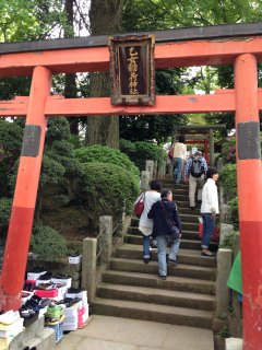 2015根津神社4